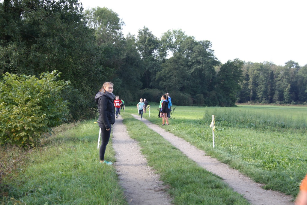 Bild 1 (54)